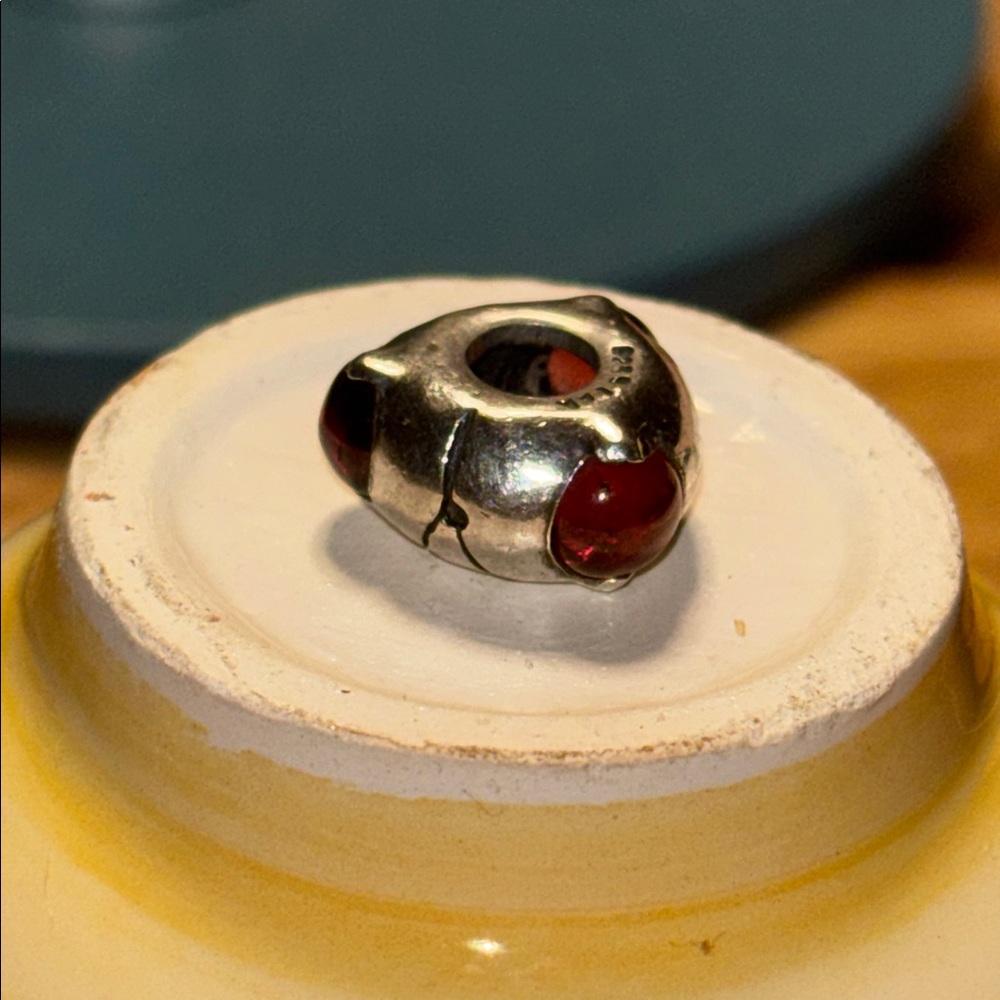 Retired Trollbeads Charm